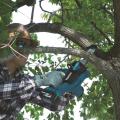 resources/machines/makita/duc122/small/DUC122_D1CK.jpg