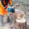 resources/machines/makita/uc023gz/small/8.jpg